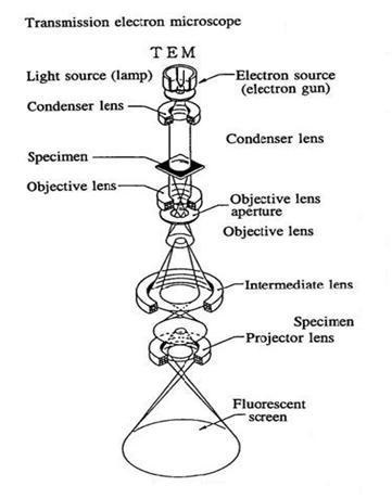 میکروسکوپ الکترونی عبوری TEM